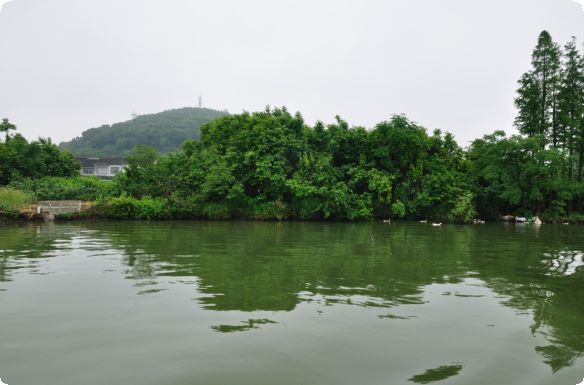 人间五月芳菲续，东钱湖畔尽欢愉