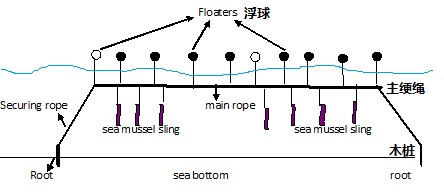 岚山水域船入养殖区相关案件的梳理与总结